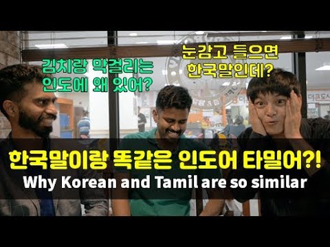 한국어와 똑닮은 언어가 인도에?! 김치랑 막걸리도 있다고!  (인도 타밀어) – 【세계문화탐구생활_1】