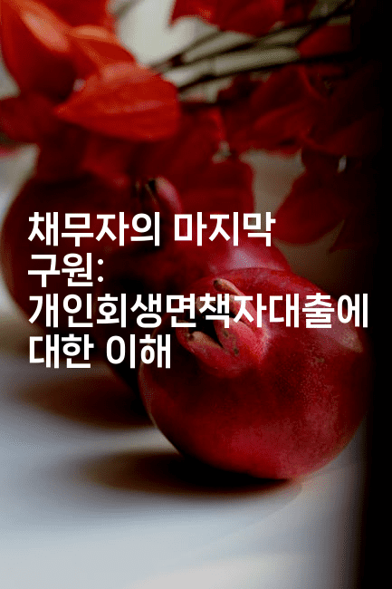 채무자의 마지막 구원: 개인회생면책자대출에 대한 이해-언니니