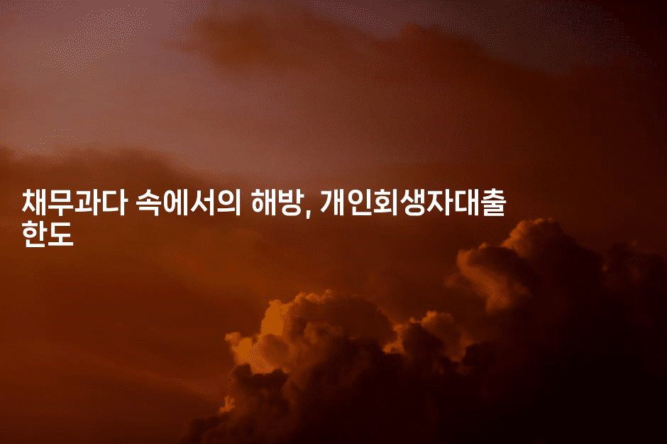 채무과다 속에서의 해방, 개인회생자대출 한도-언니니