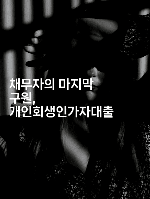 채무자의 마지막 구원, 개인회생인가자대출