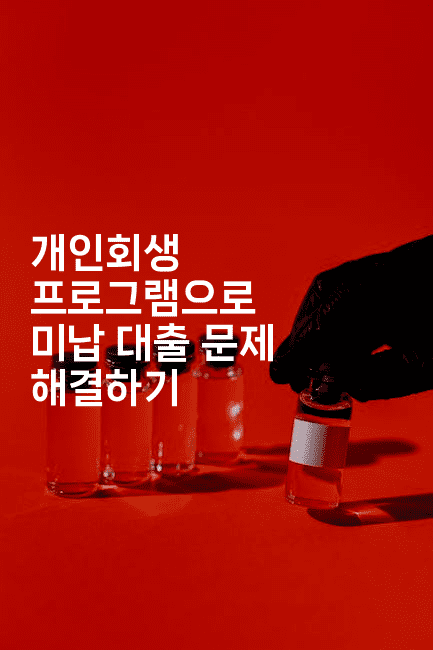 개인회생 프로그램으로 미납 대출 문제 해결하기-언니니