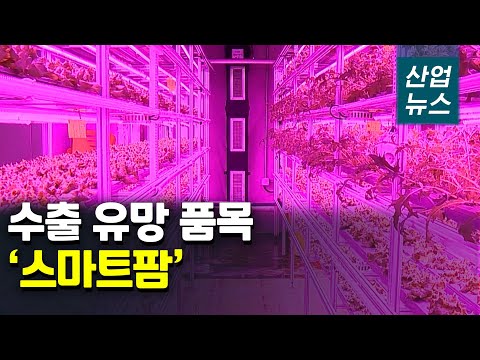 지하철역에서 채소가 자란다…유휴부지 활용 ‘인도어팜’_산업뉴스[산업방송 채널i]