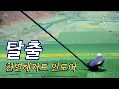 비발디파크cc 인도어 골프연습장 다녀온 썰(feat. 스텔스 드라이버 + 벤투스블루 5S)ㅣVisiting Vivaldi Park driving range