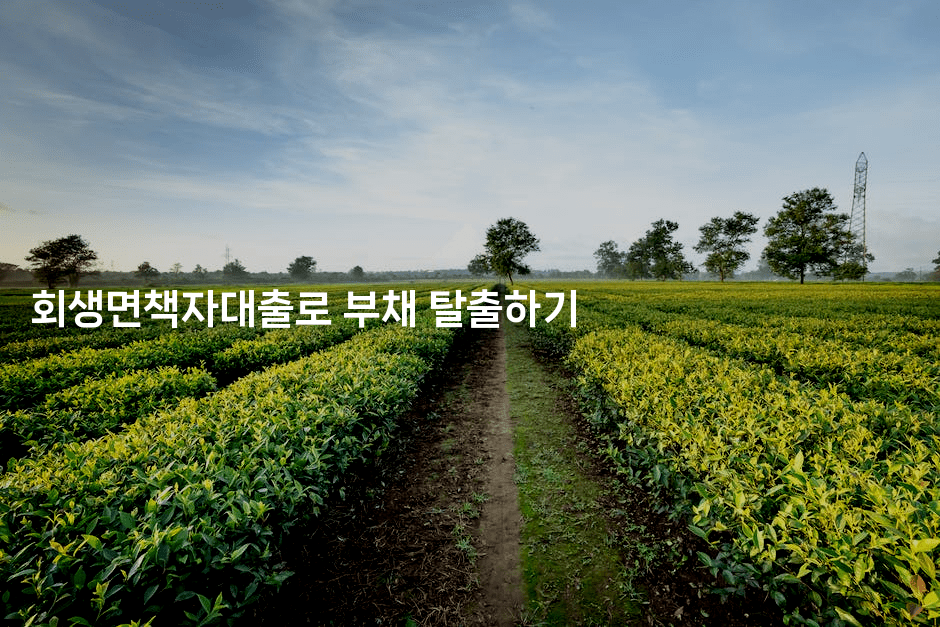 회생면책자대출로 부채 탈출하기-언니니