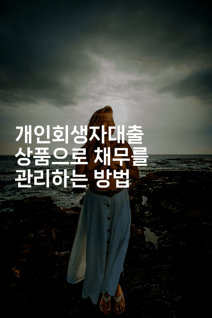 개인회생자대출 상품으로 채무를 관리하는 방법-언니니