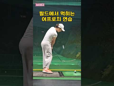 어프로치 많은 기대 부탁드립니다 ? #어프로치 #골프 #golf #인도어