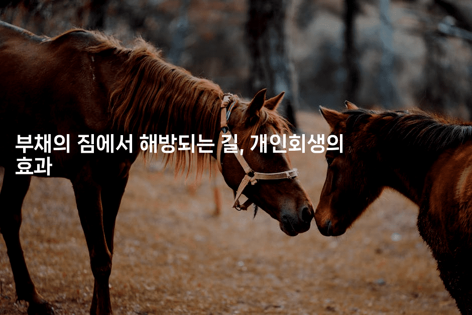 부채의 짐에서 해방되는 길, 개인회생의 효과