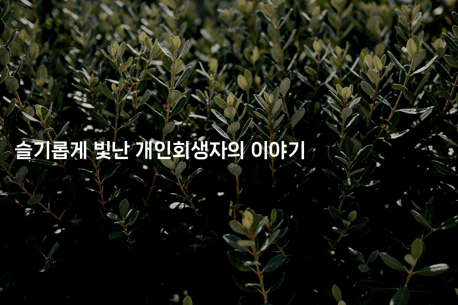 슬기롭게 빛난 개인회생자의 이야기-언니니