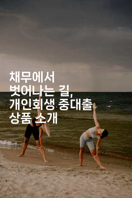 채무에서 벗어나는 길, 개인회생 중대출 상품 소개-언니니