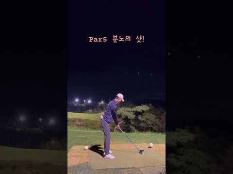 #골프 #par5 #드라이버 #드라이버스윙 #생존신고 #간만에영상 #필드 #인도어