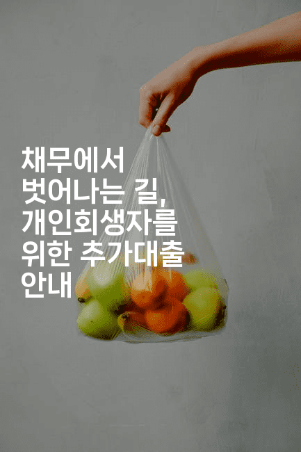 채무에서 벗어나는 길, 개인회생자를 위한 추가대출 안내-언니니