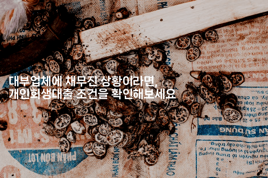 대부업체에 채무진 상황이라면, 개인회생대출 조건을 확인해보세요-언니니