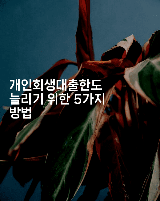 개인회생대출한도 늘리기 위한 5가지 방법-언니니