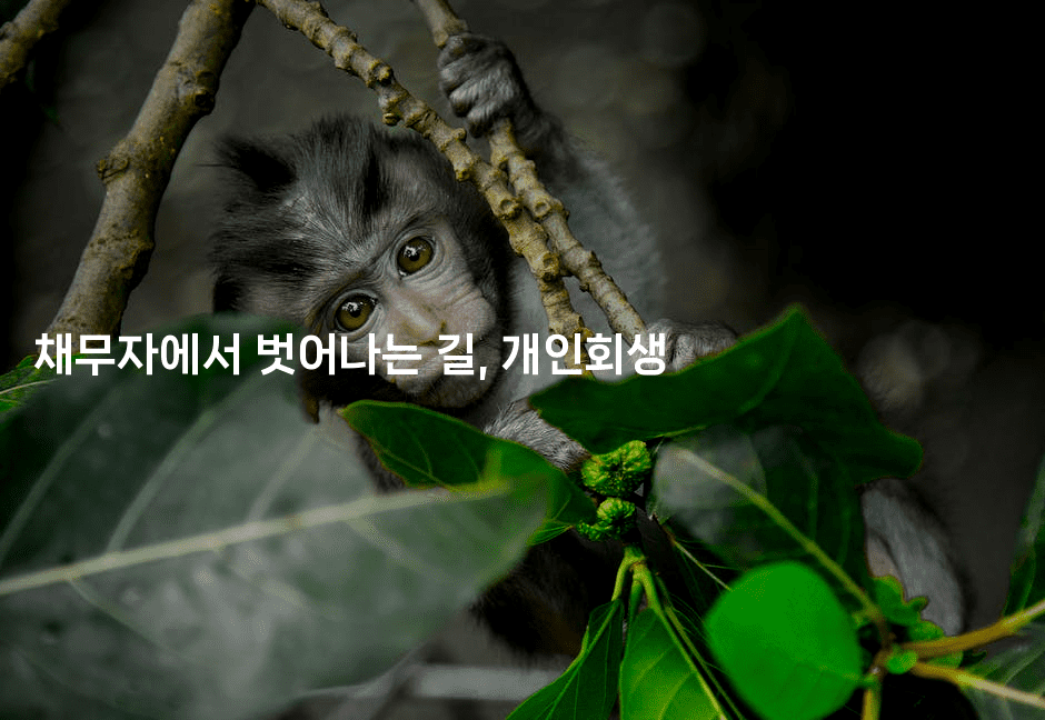 채무자에서 벗어나는 길, 개인회생-언니니