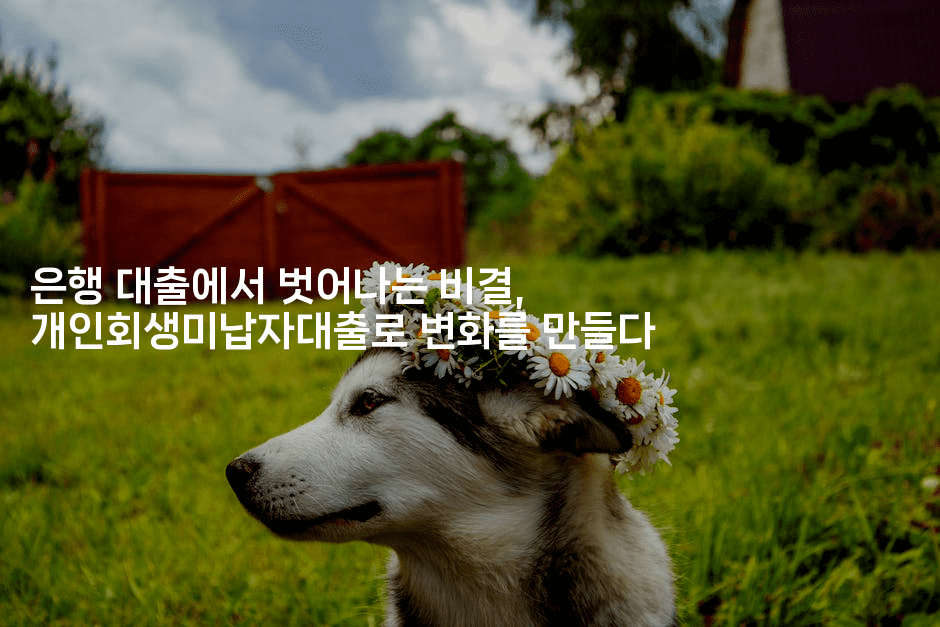 은행 대출에서 벗어나는 비결, 개인회생미납자대출로 변화를 만들다