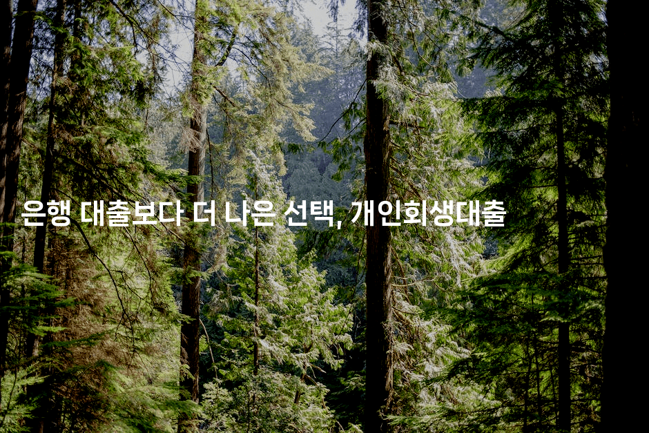 은행 대출보다 더 나은 선택, 개인회생대출
